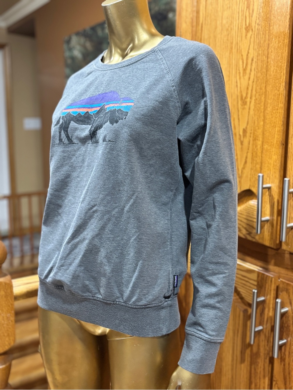 Patagonia Fitz Roy Bison Ahnya Crew Sweatshirt Women’s size M - Picture 2 of 6
